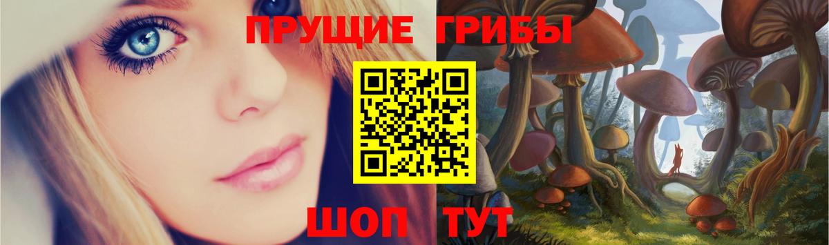 Похвистнево  Псилоцибиновые грибы мицелий  Вход с VPN  Псилоцибиновые грибы MAGIC MUSHROOMS 